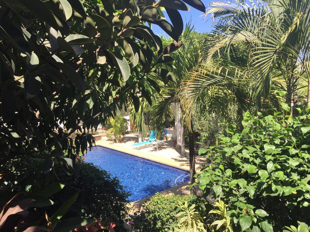 Hotel Flores (Adults Only) Tamarindo Kültér fotó