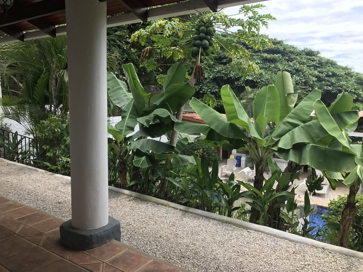 Hotel Flores (Adults Only) Tamarindo Kültér fotó